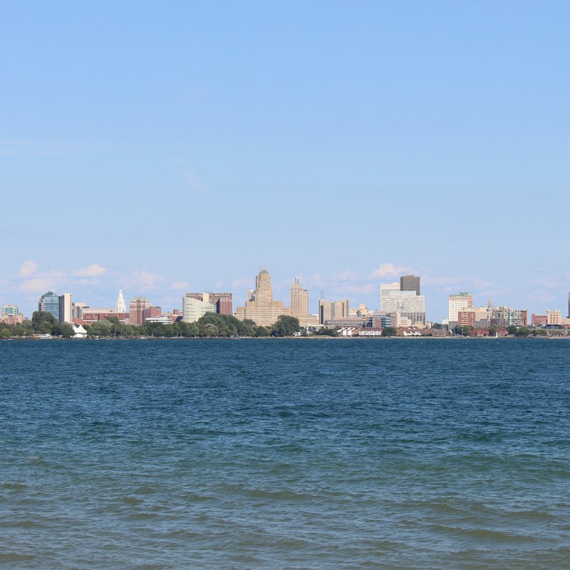 Buffalo skyline