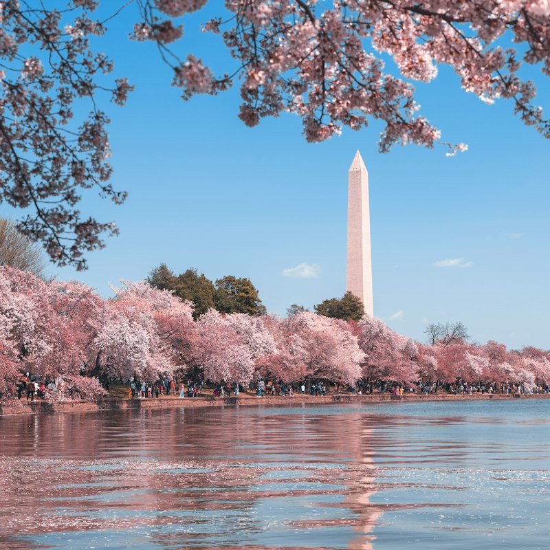 Washington skyline
