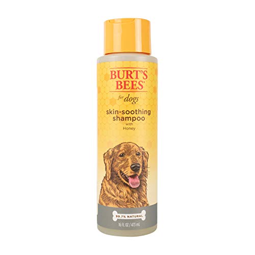 Burt's Bees for Pets Skin Soothing Dog Shampoo with Honey (16 oz)