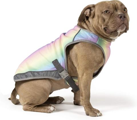 Canada Pooch Evaporative Dog Cooling Vest