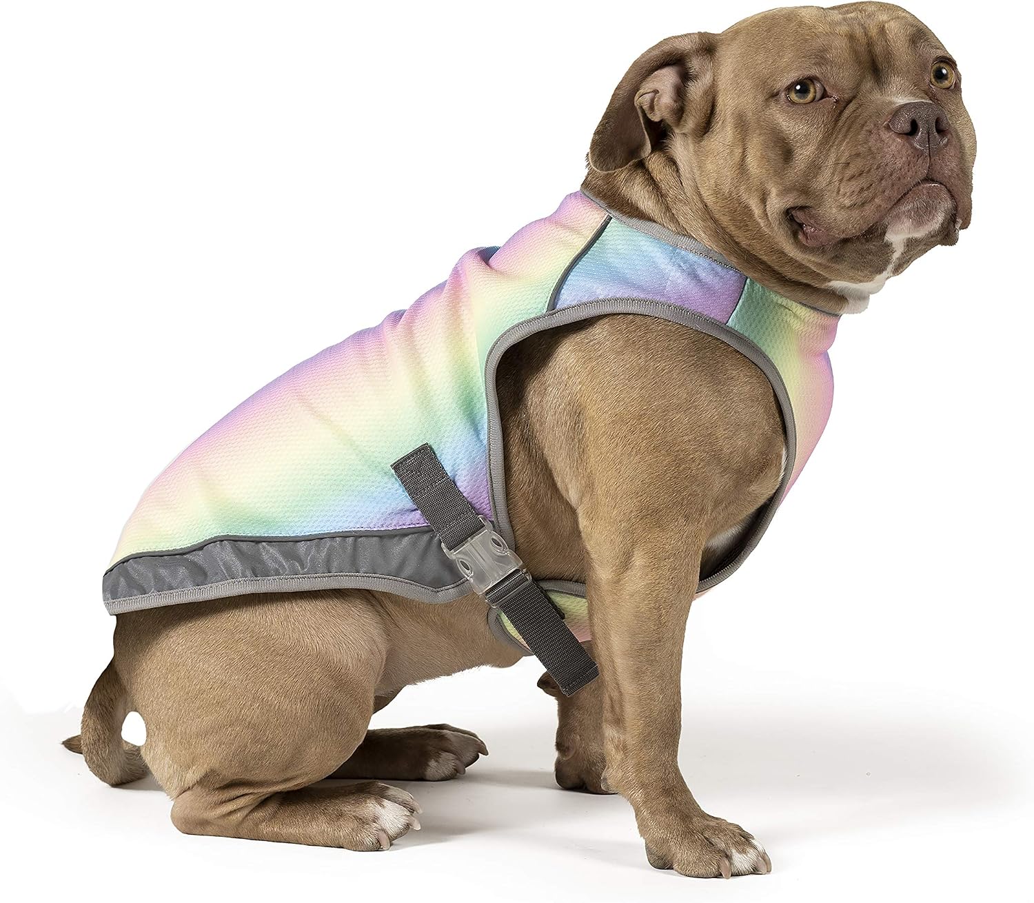 Canada Pooch Evaporative Dog Cooling Vest
