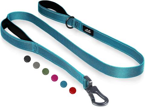 Twoear Heavy Duty Dog Leash (6 ft)