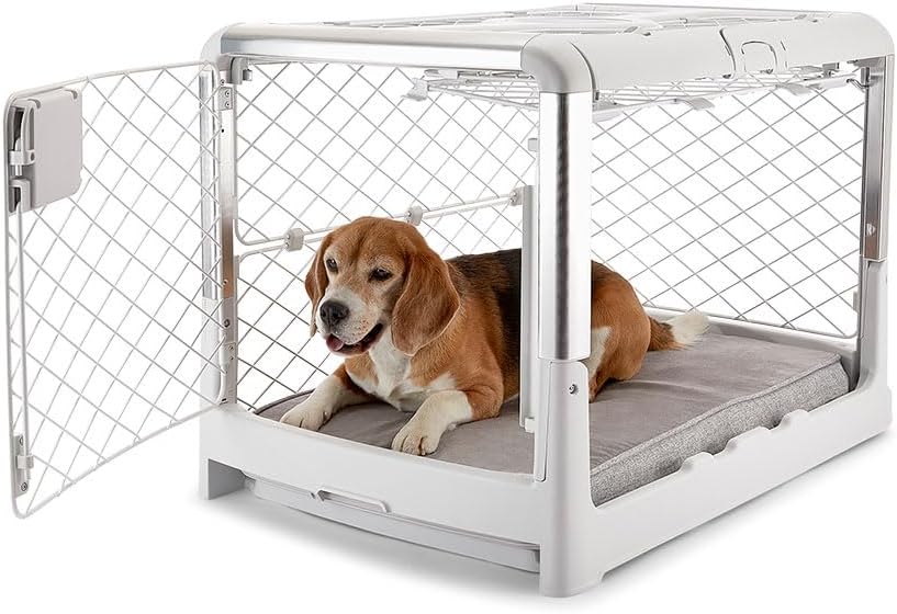 DIGGS Revol Collapsible Dog Crate (Ash, Medium)