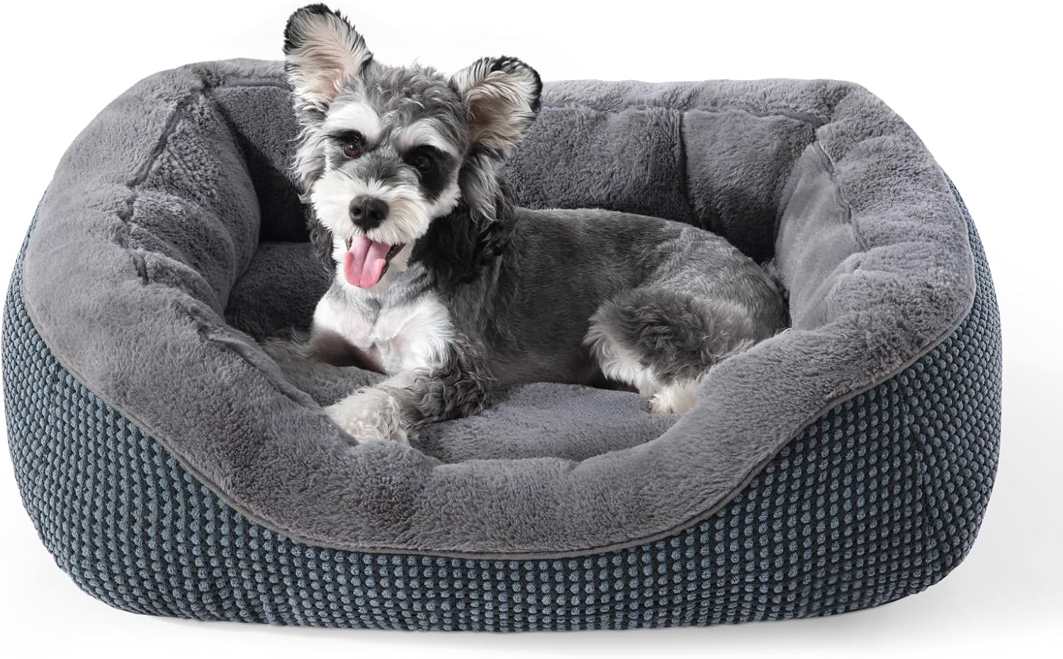 INVENHO Small Orthopedic Dog Bed (20×19×6")
