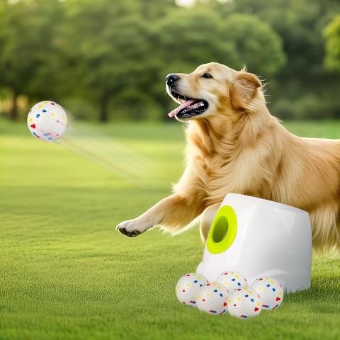 All for Paws Automatic Ball Launcher (2.5", 6 Balls)